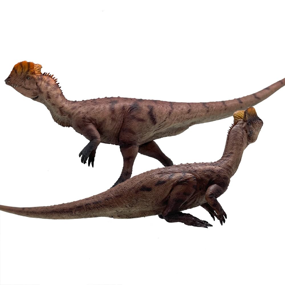 Amazon.co.jp: HAOLONGGOOD ディロフォサウルス(Sun Xin+Gu da sao